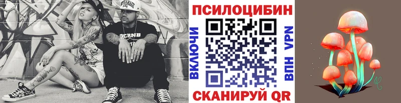 Купить закладки  Нижняя Салда  Галлюциногенные грибы GOLDEN TEACHER 